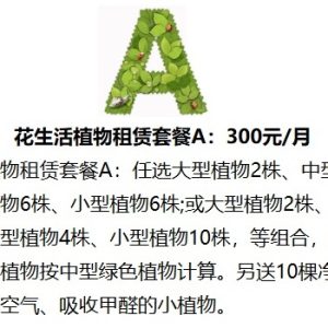 花卉植物租赁租摆出租 绿化养护 园林施工