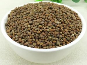 莱菔子的功效与作用以及莱菔子的食用方法与禁忌_春暖花开